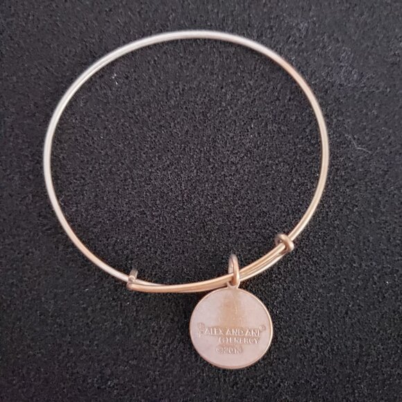 Alex and Ani Daughter 2 Tone? Charm Bracelet  Bangle     33 - Picture 3 of 3